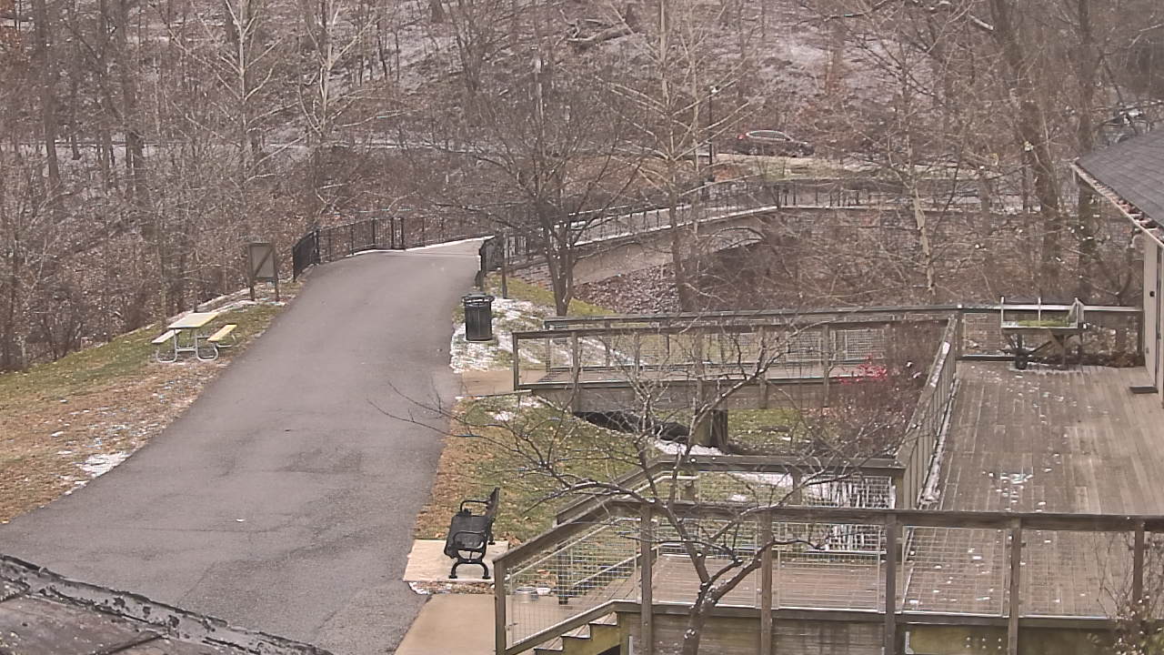 Thumbnail for current weather camera view from Lake Roland Nature Council in Baltimore, Maryland