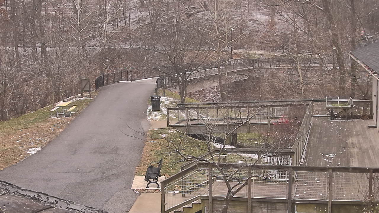 Thumbnail for current weather camera view from Lake Roland Nature Council in Baltimore, Maryland