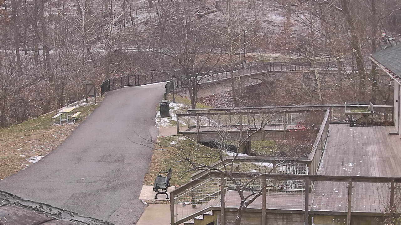 Thumbnail for current weather camera view from Lake Roland Nature Council in Baltimore, Maryland