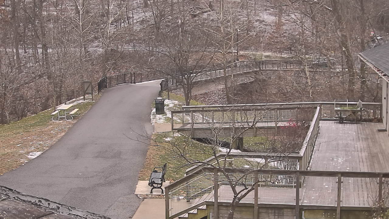 Thumbnail for current weather camera view from Lake Roland Nature Council in Baltimore, Maryland