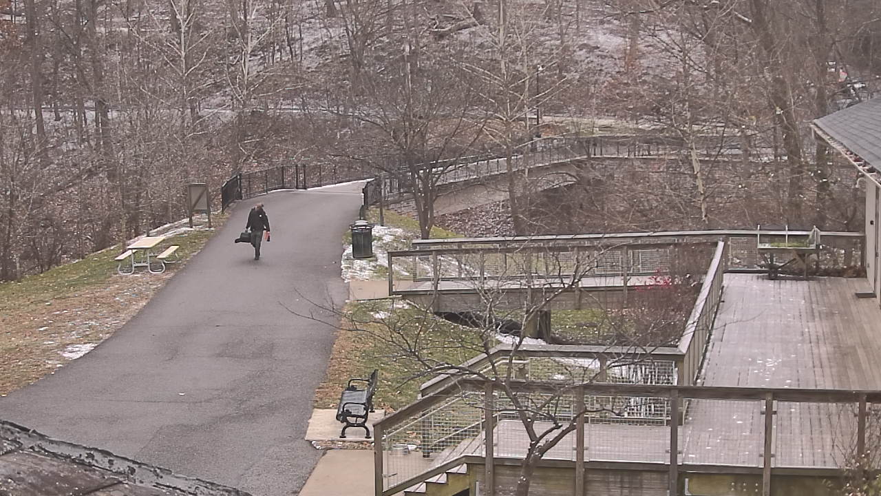 Thumbnail for current weather camera view from Lake Roland Nature Council in Baltimore, Maryland