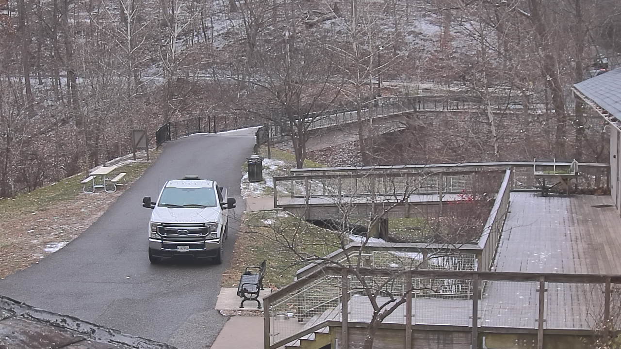 Thumbnail for current weather camera view from Lake Roland Nature Council in Baltimore, Maryland