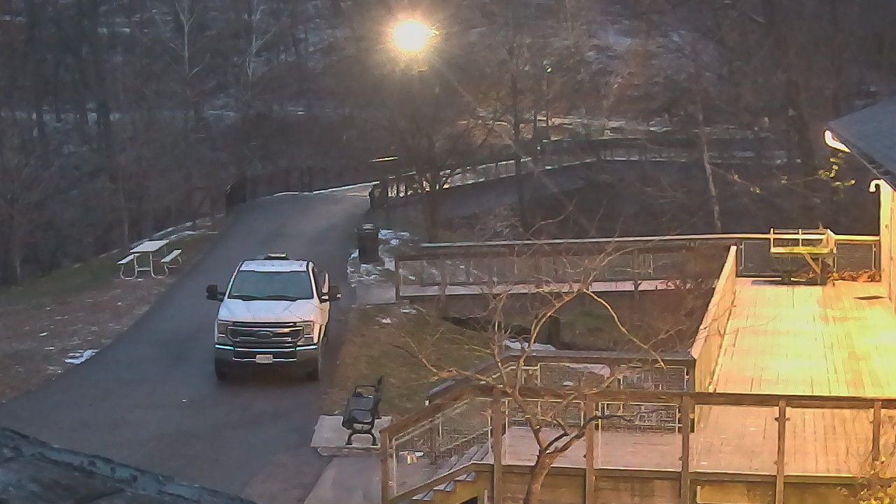 Thumbnail for current weather camera view from Lake Roland Nature Council in Baltimore, Maryland