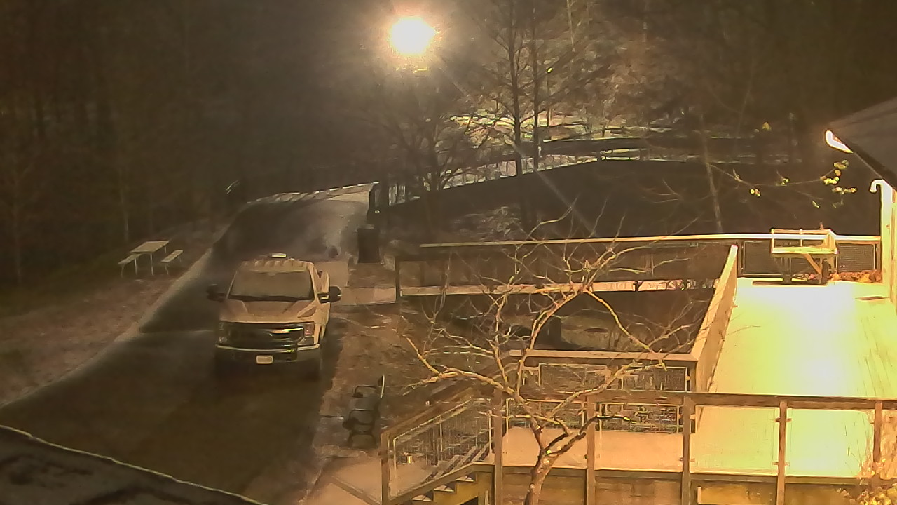 Thumbnail for current weather camera view from Lake Roland Nature Council in Baltimore, Maryland