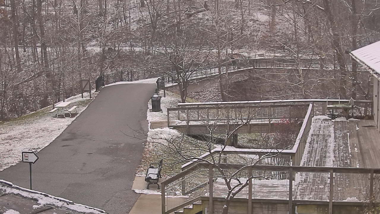 Thumbnail for current weather camera view from Lake Roland Nature Council in Baltimore, Maryland