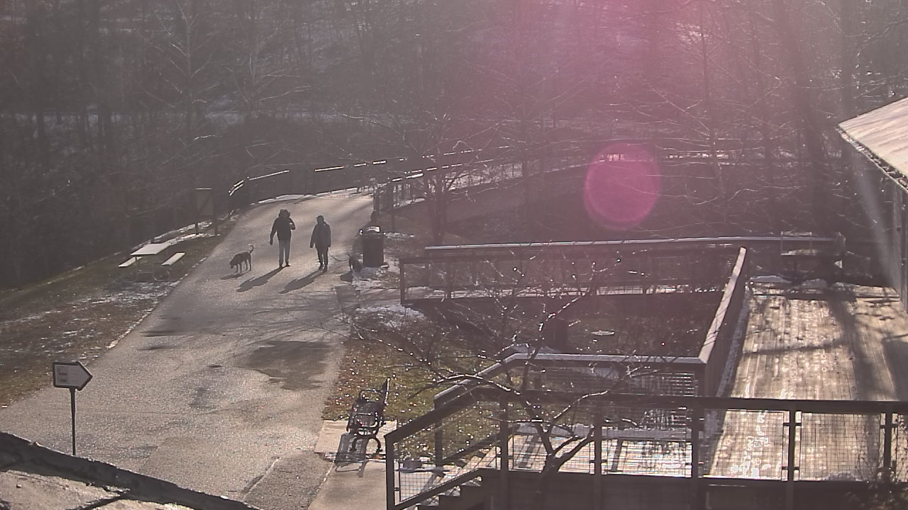 Thumbnail for current weather camera view from Lake Roland Nature Council in Baltimore, Maryland