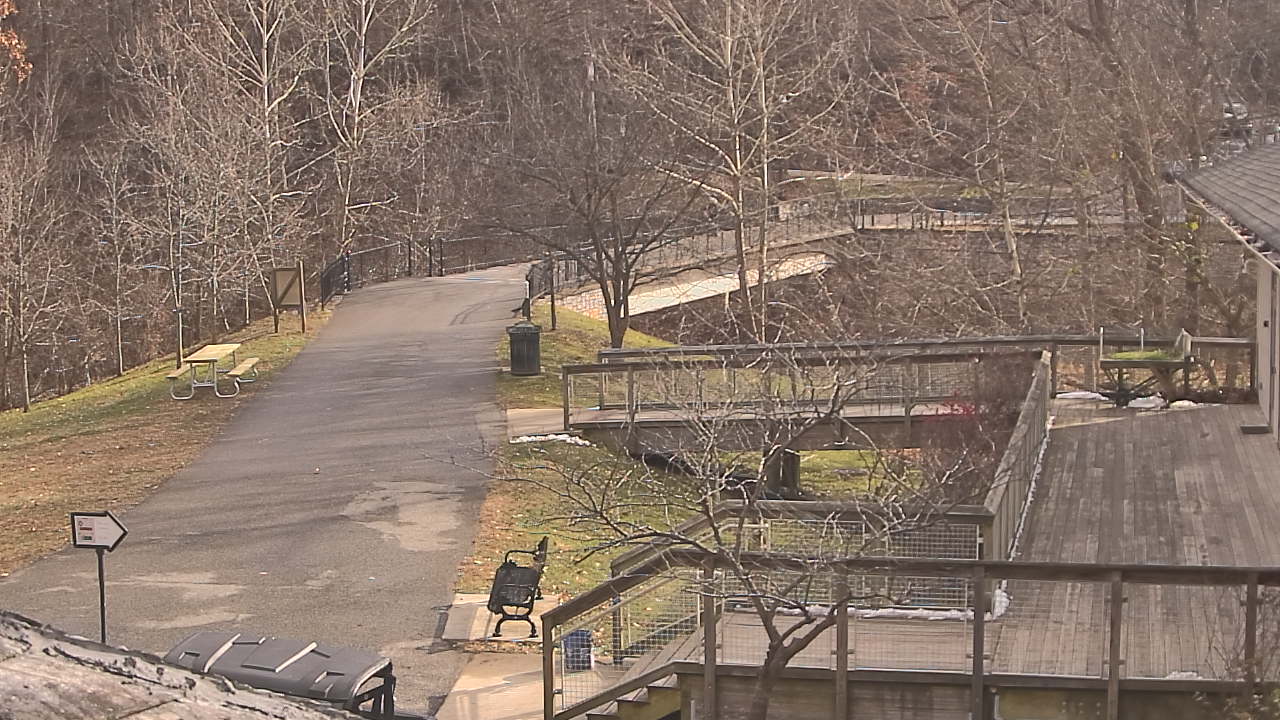 Thumbnail for current weather camera view from Lake Roland Nature Council in Baltimore, Maryland