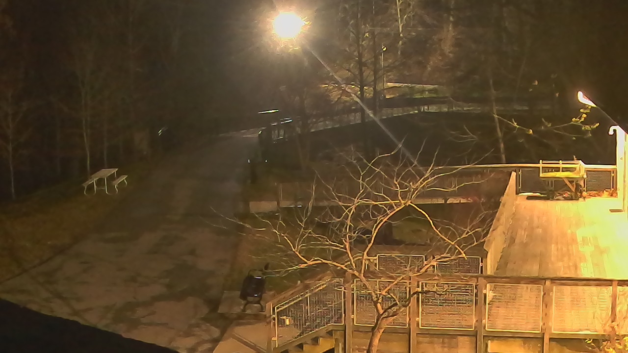 Thumbnail for current weather camera view from Lake Roland Nature Council in Baltimore, Maryland