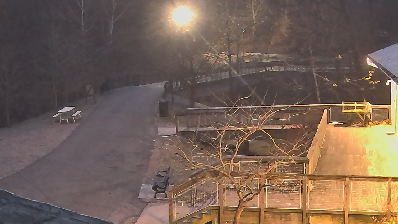 Thumbnail for current weather camera view from Lake Roland Nature Council in Baltimore, Maryland