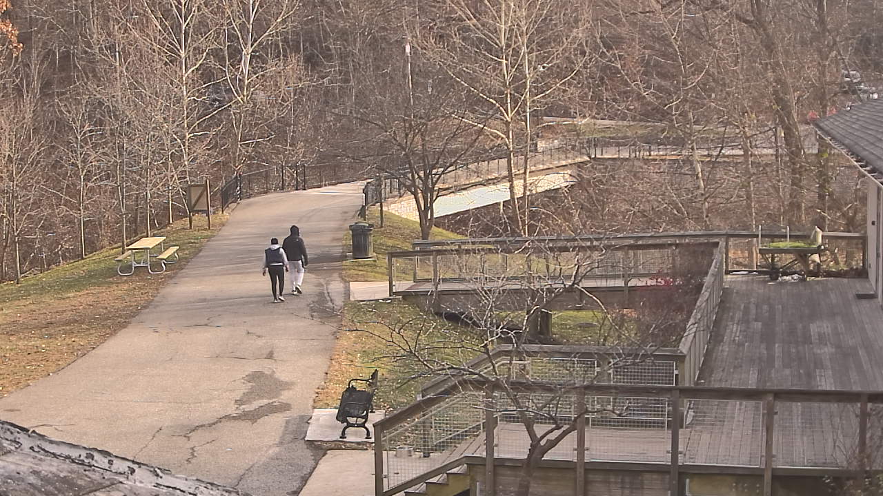 Thumbnail for current weather camera view from Lake Roland Nature Council in Baltimore, Maryland