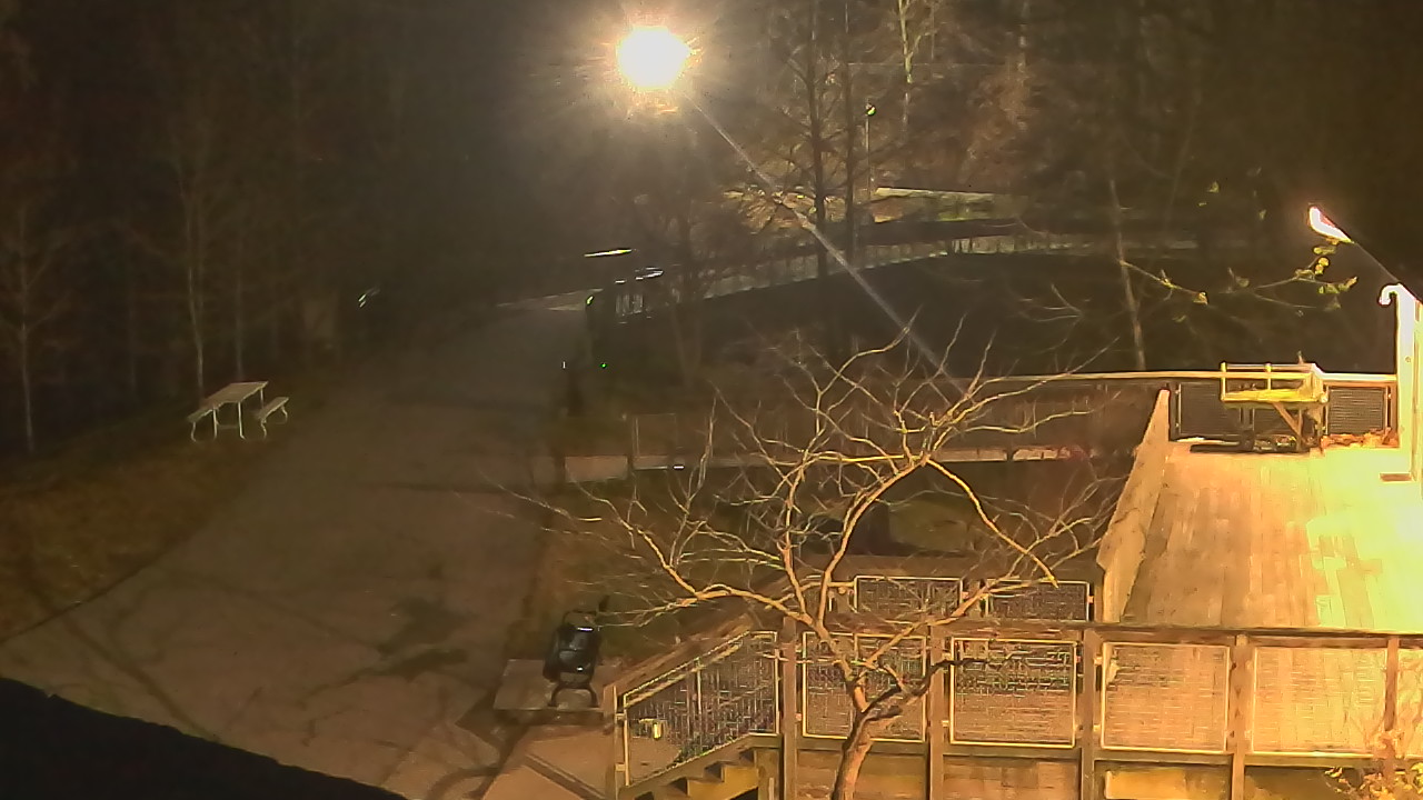 Thumbnail for current weather camera view from Lake Roland Nature Council in Baltimore, Maryland