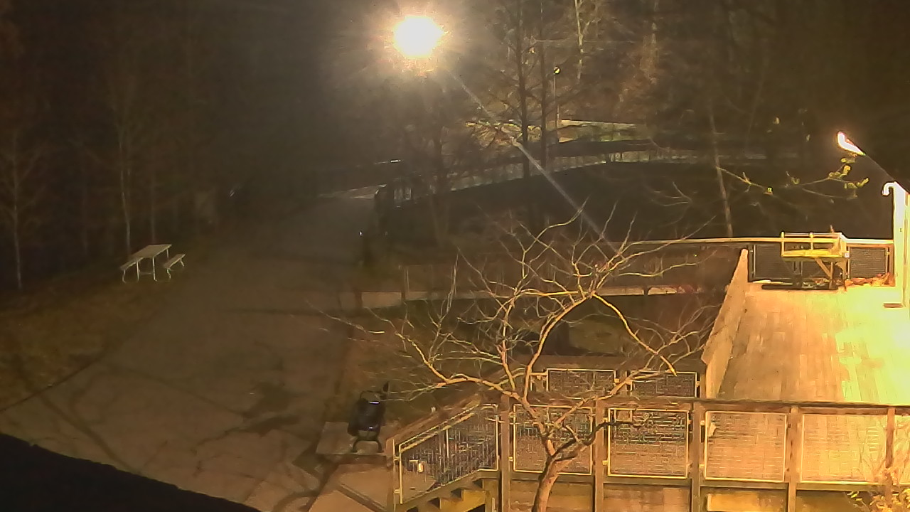 Thumbnail for current weather camera view from Lake Roland Nature Council in Baltimore, Maryland