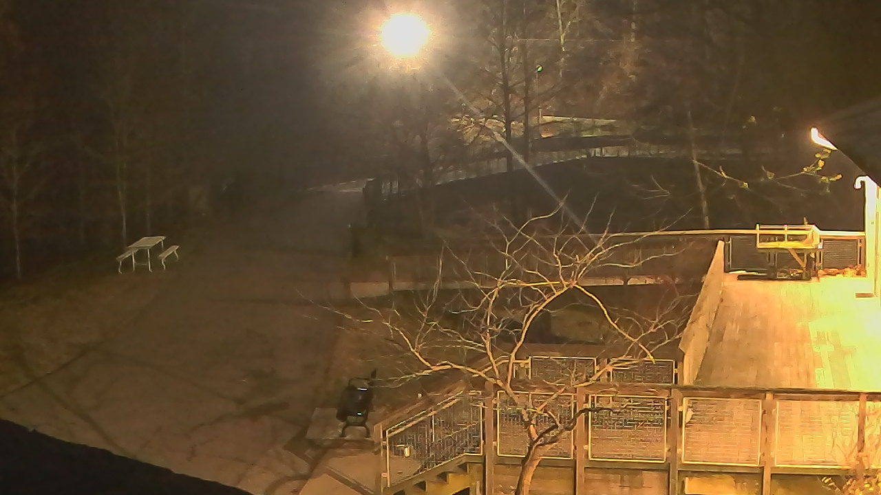 Thumbnail for current weather camera view from Lake Roland Nature Council in Baltimore, Maryland