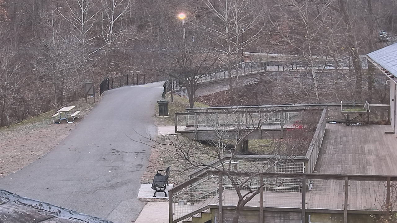 Thumbnail for current weather camera view from Lake Roland Nature Council in Baltimore, Maryland