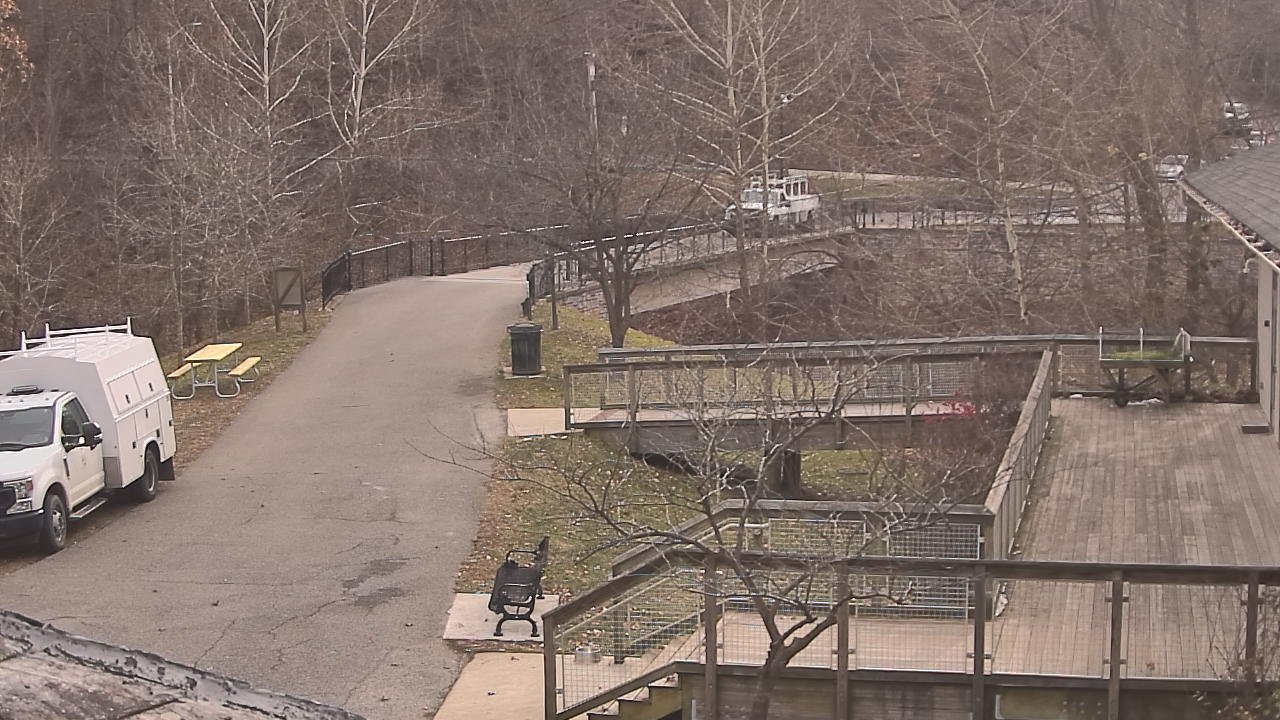 Thumbnail for current weather camera view from Lake Roland Nature Council in Baltimore, Maryland