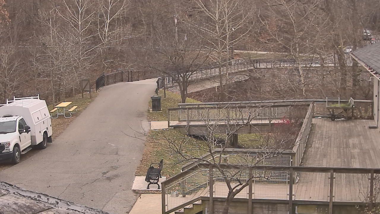 Thumbnail for current weather camera view from Lake Roland Nature Council in Baltimore, Maryland