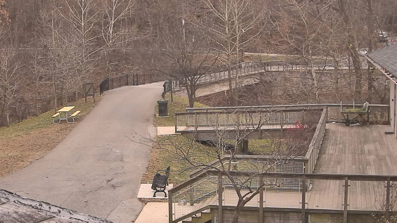 Thumbnail for current weather camera view from Lake Roland Nature Council in Baltimore, Maryland