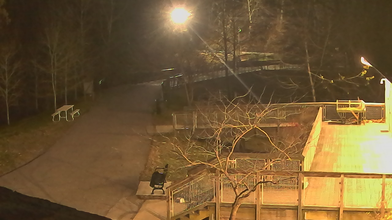 Thumbnail for current weather camera view from Lake Roland Nature Council in Baltimore, Maryland