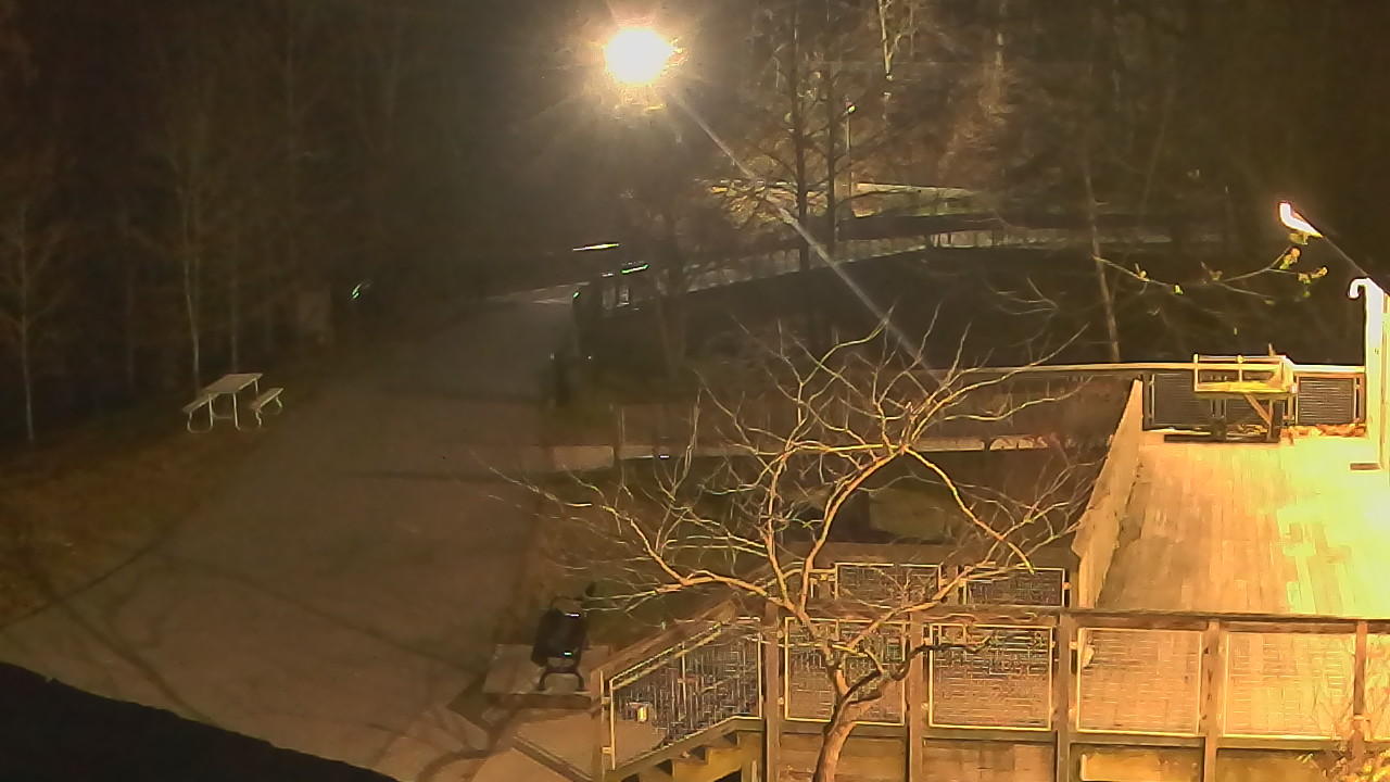 Thumbnail for current weather camera view from Lake Roland Nature Council in Baltimore, Maryland