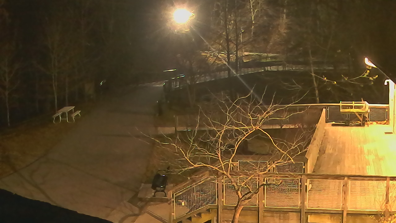 Thumbnail for current weather camera view from Lake Roland Nature Council in Baltimore, Maryland