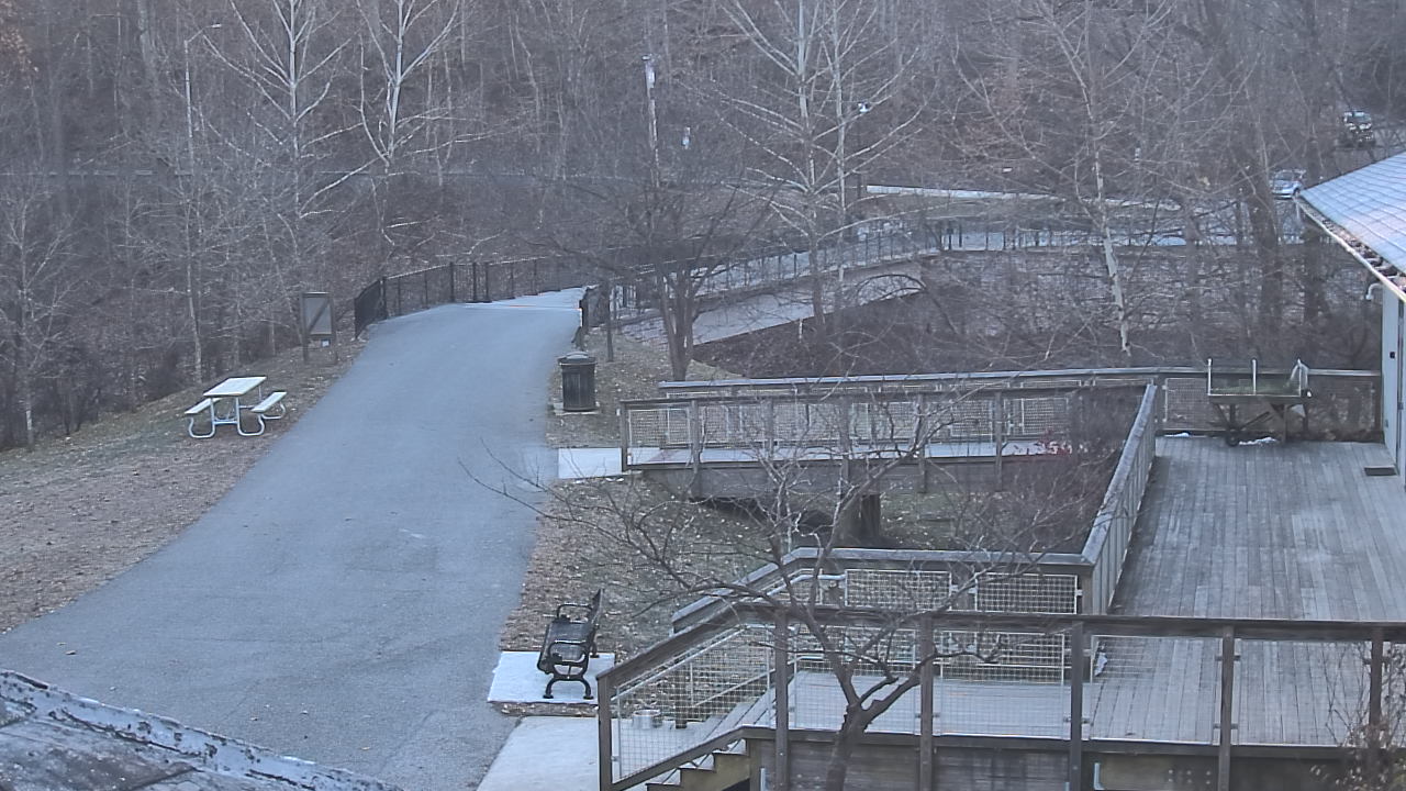 Thumbnail for current weather camera view from Lake Roland Nature Council in Baltimore, Maryland