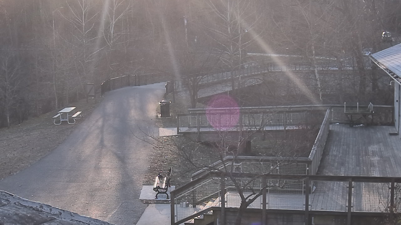 Thumbnail for current weather camera view from Lake Roland Nature Council in Baltimore, Maryland