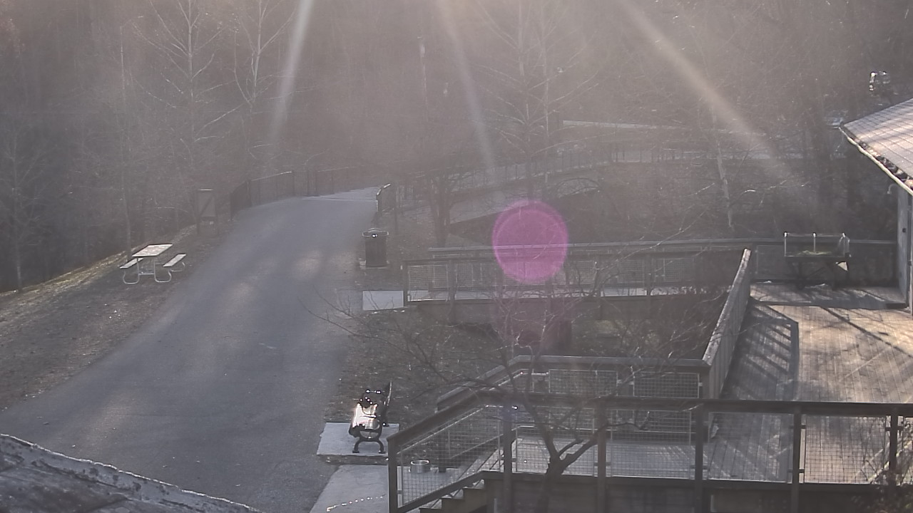 Thumbnail for current weather camera view from Lake Roland Nature Council in Baltimore, Maryland