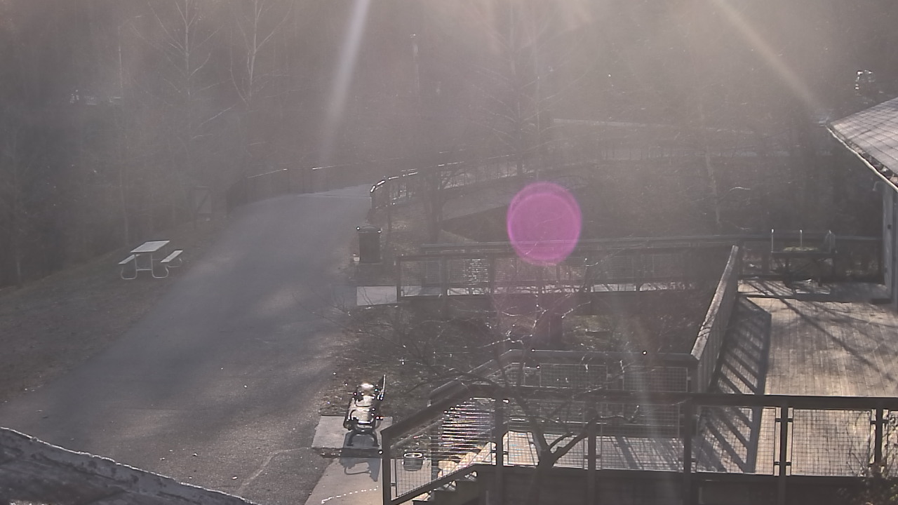 Thumbnail for current weather camera view from Lake Roland Nature Council in Baltimore, Maryland