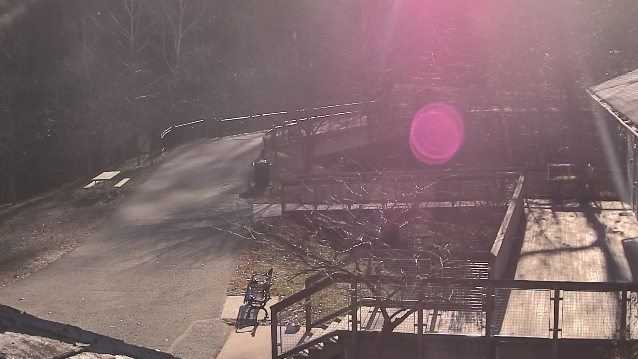 Thumbnail for current weather camera view from Lake Roland Nature Council in Baltimore, Maryland