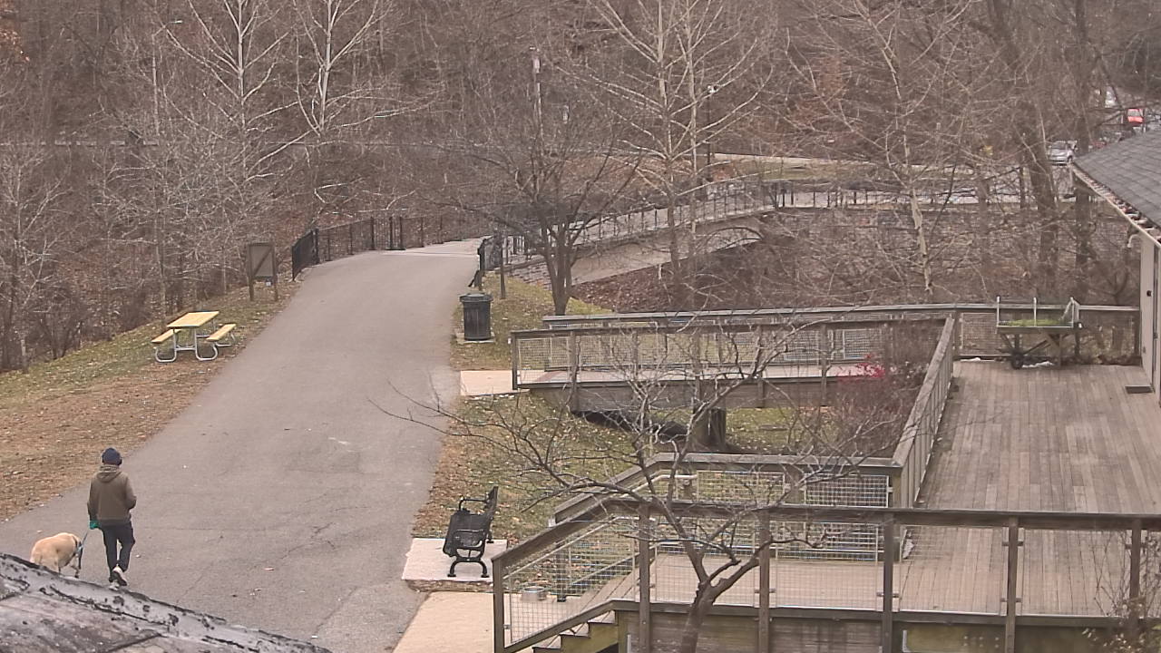 Thumbnail for current weather camera view from Lake Roland Nature Council in Baltimore, Maryland