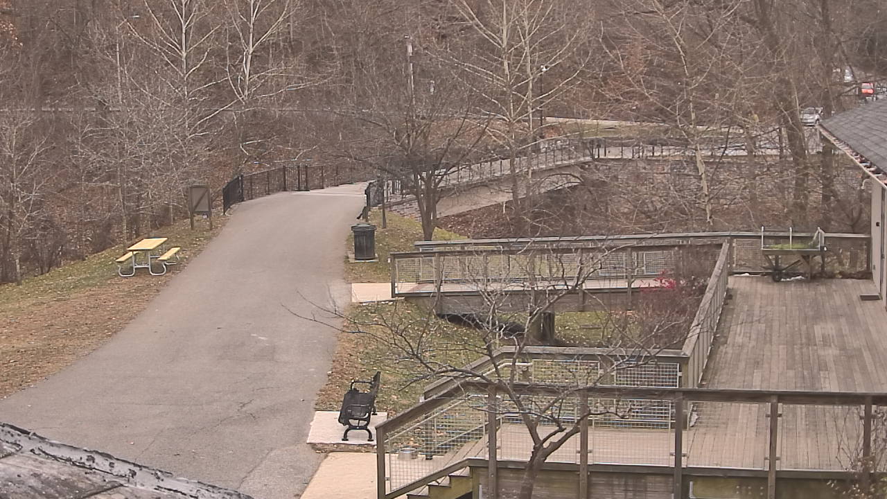 Thumbnail for current weather camera view from Lake Roland Nature Council in Baltimore, Maryland