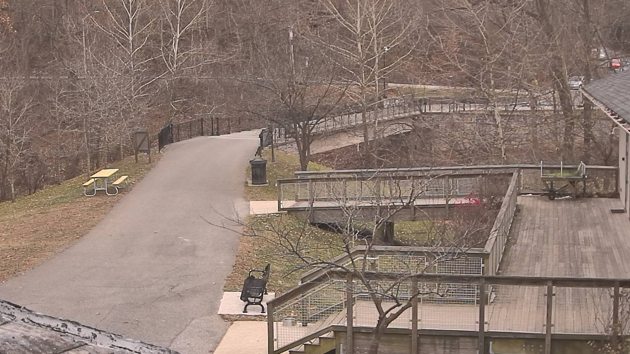 Thumbnail for current weather camera view from Lake Roland Nature Council in Baltimore, Maryland