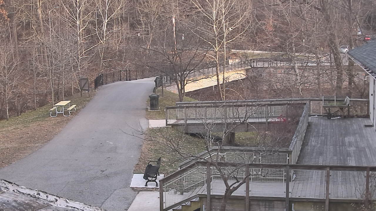 Thumbnail for current weather camera view from Lake Roland Nature Council in Baltimore, Maryland