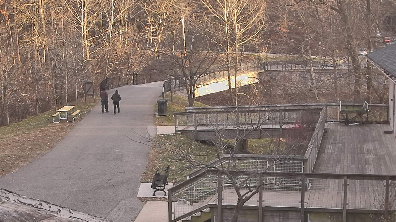 Thumbnail for current weather camera view from Lake Roland Nature Council in Baltimore, Maryland