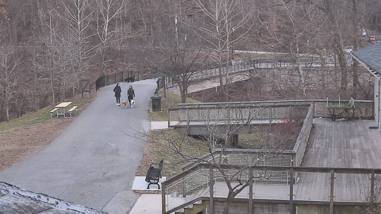 Thumbnail for current weather camera view from Lake Roland Nature Council in Baltimore, Maryland