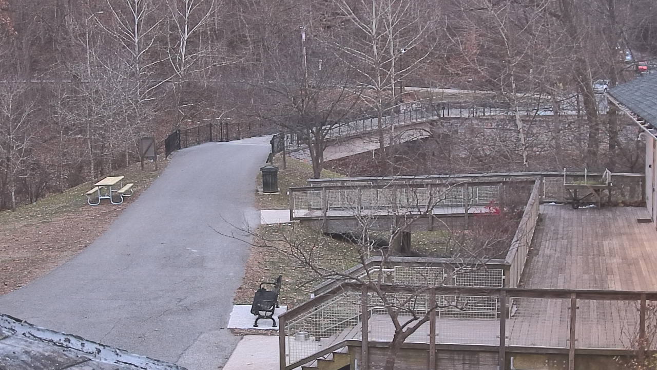 Thumbnail for current weather camera view from Lake Roland Nature Council in Baltimore, Maryland