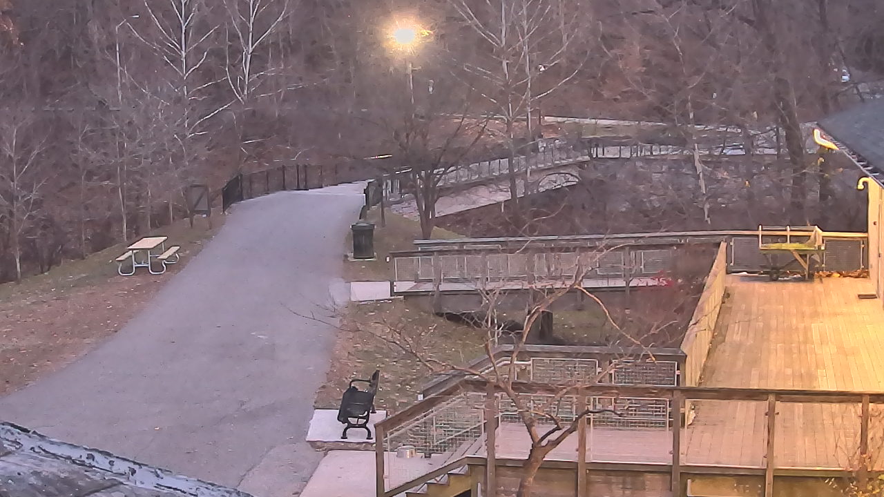 Thumbnail for current weather camera view from Lake Roland Nature Council in Baltimore, Maryland