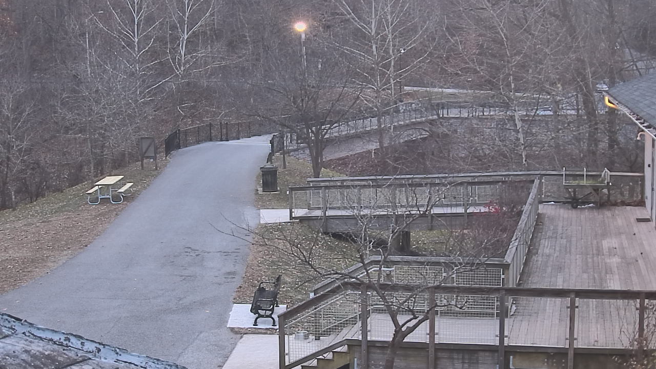 Thumbnail for current weather camera view from Lake Roland Nature Council in Baltimore, Maryland