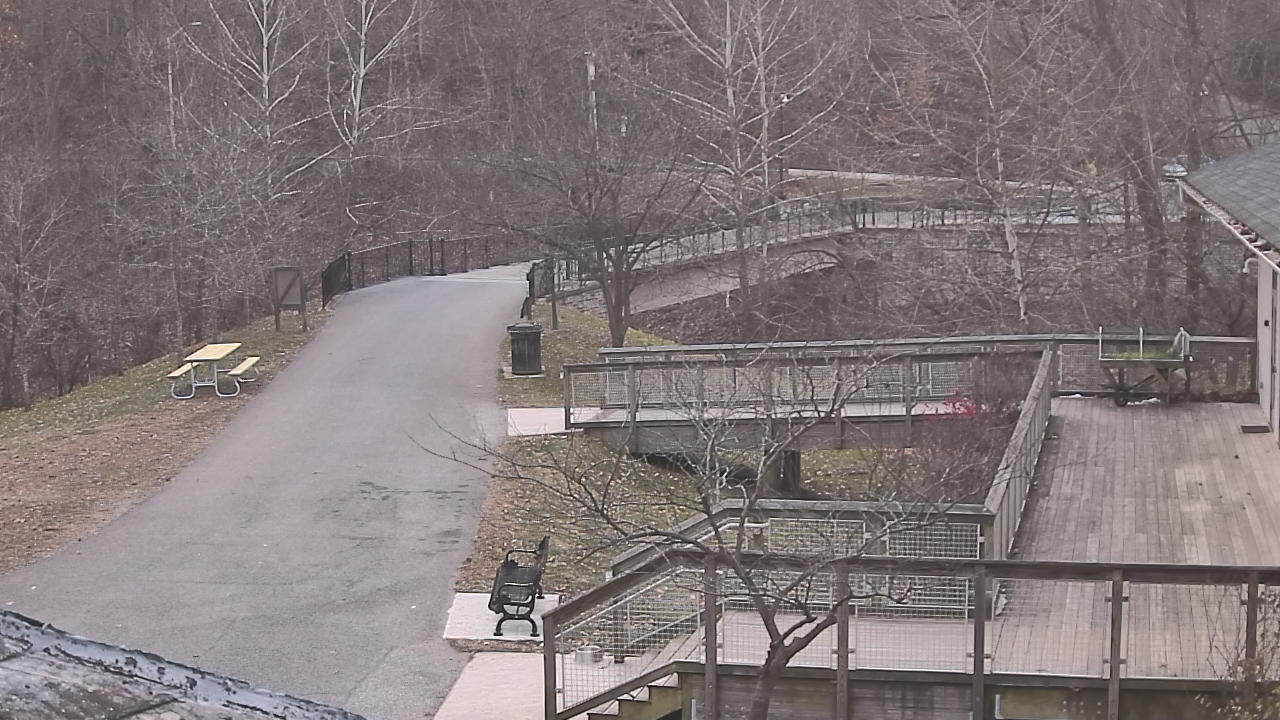 Thumbnail for current weather camera view from Lake Roland Nature Council in Baltimore, Maryland