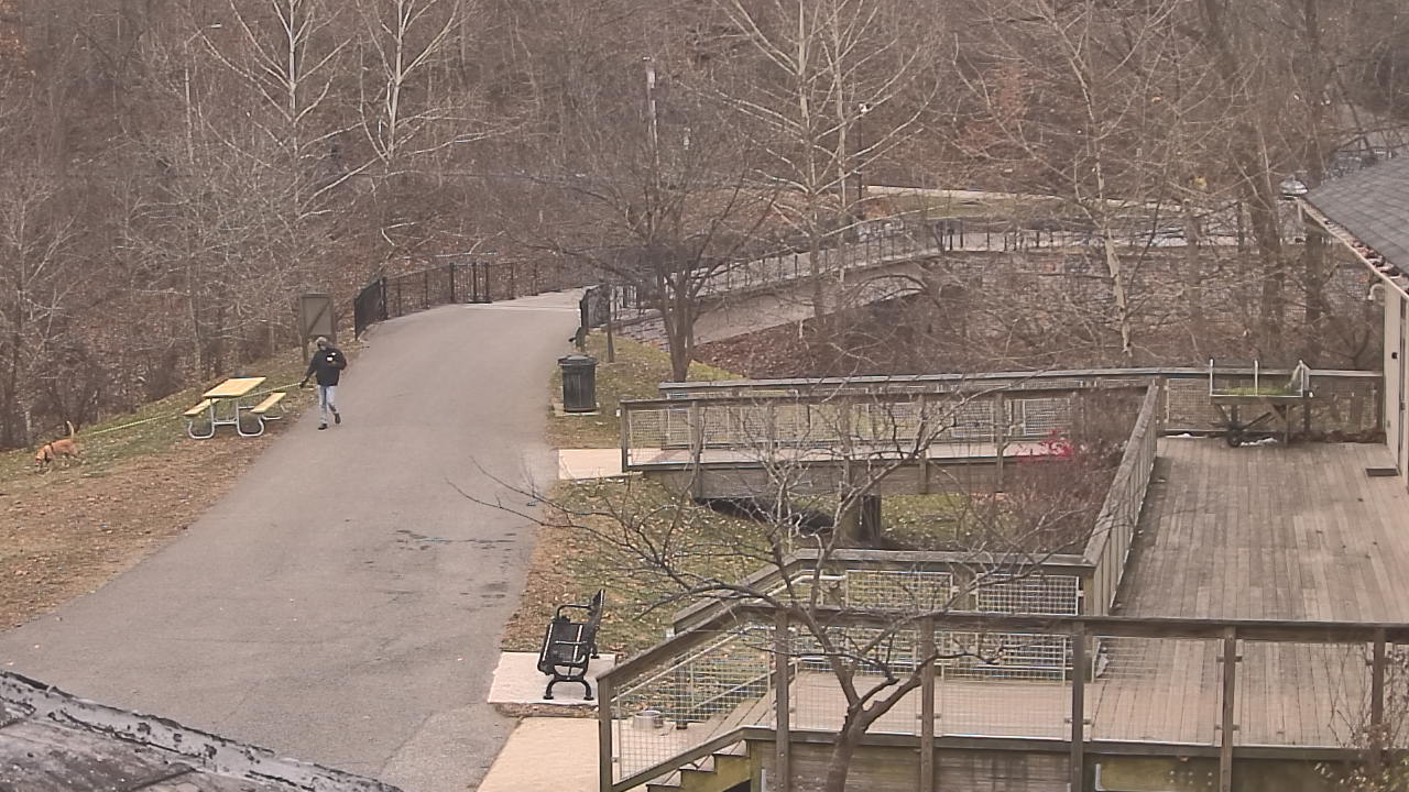 Thumbnail for current weather camera view from Lake Roland Nature Council in Baltimore, Maryland