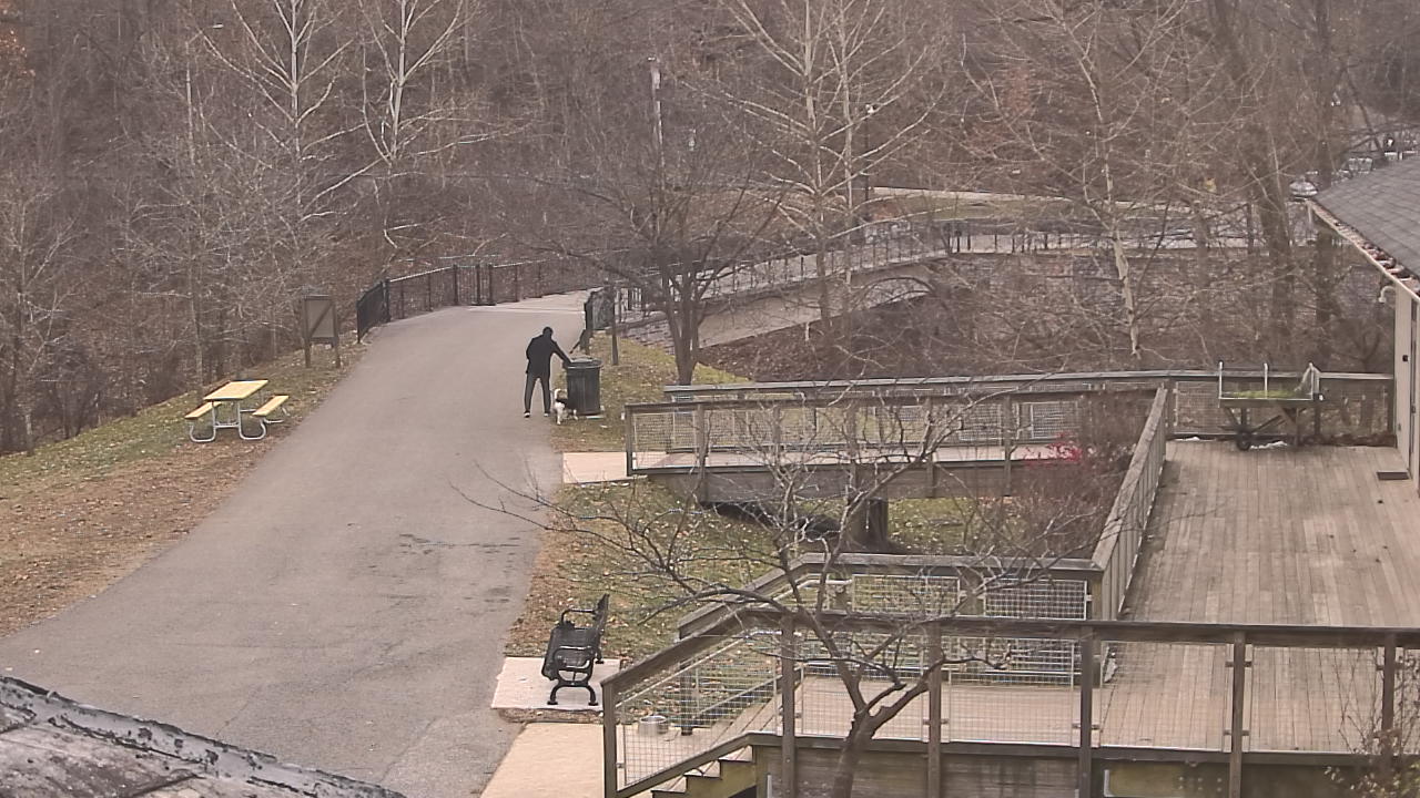 Thumbnail for current weather camera view from Lake Roland Nature Council in Baltimore, Maryland