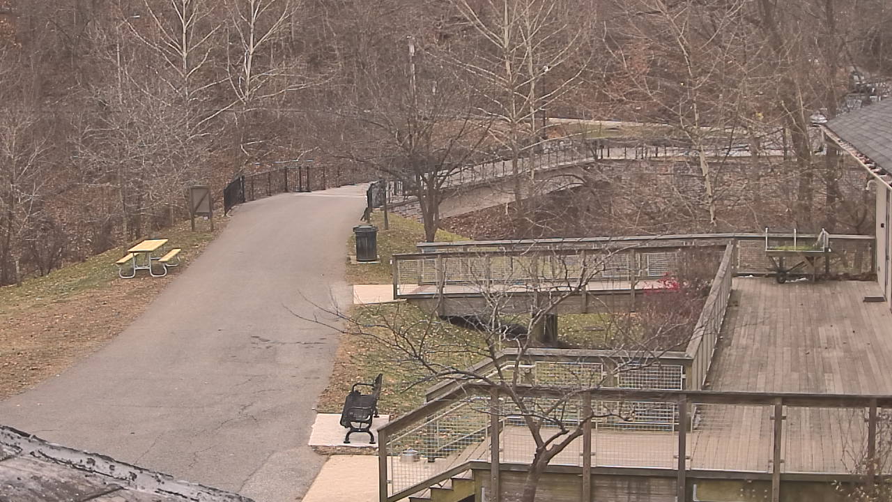 Thumbnail for current weather camera view from Lake Roland Nature Council in Baltimore, Maryland