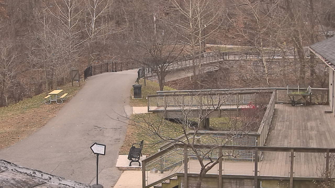 Thumbnail for current weather camera view from Lake Roland Nature Council in Baltimore, Maryland