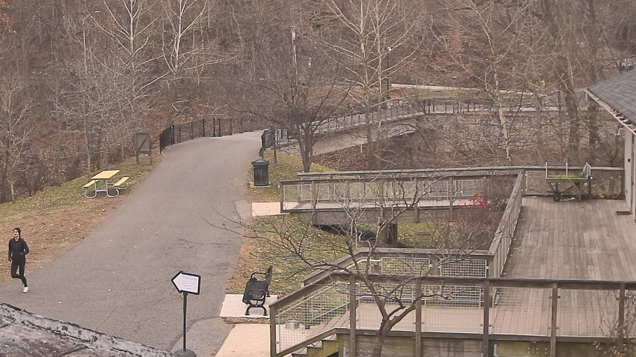 Thumbnail for current weather camera view from Lake Roland Nature Council in Baltimore, Maryland