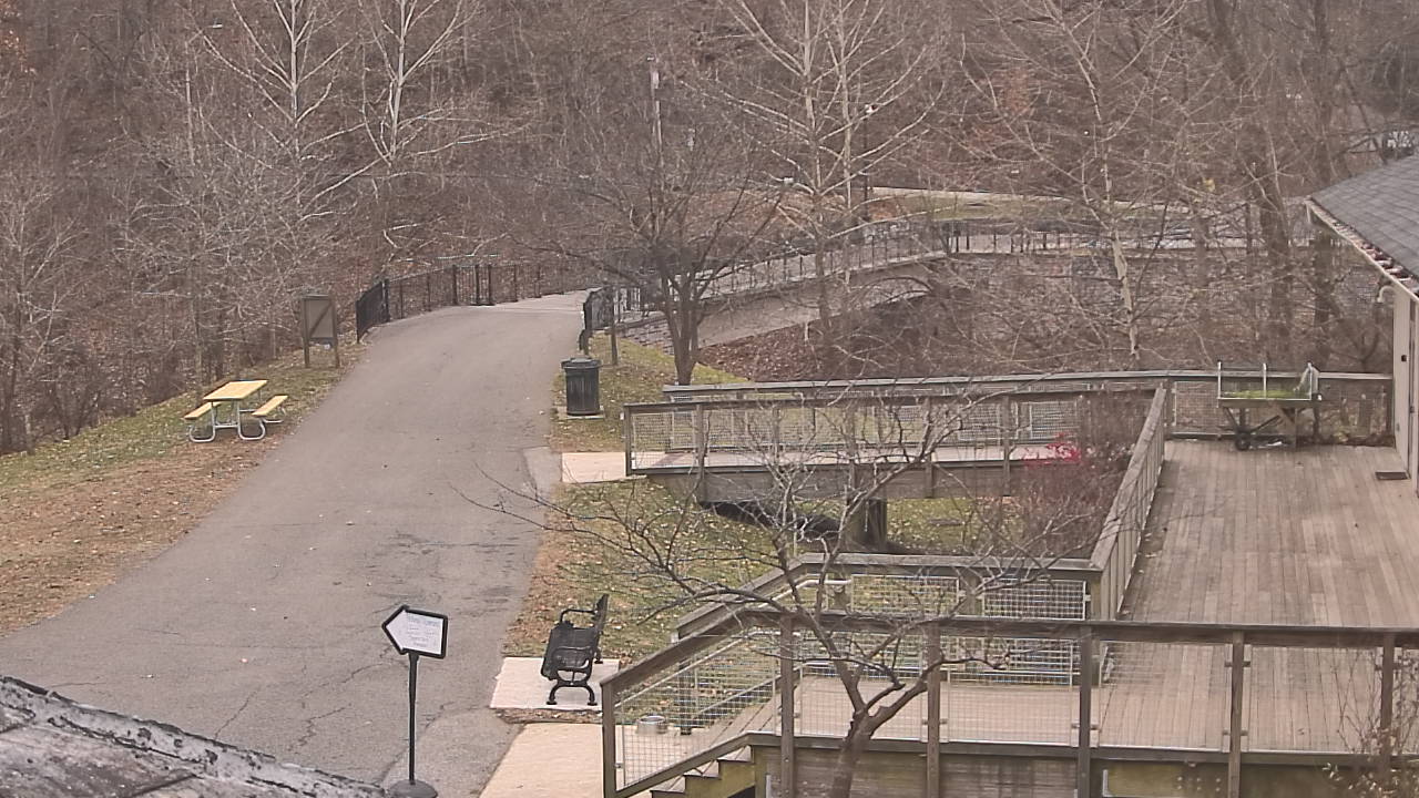 Thumbnail for current weather camera view from Lake Roland Nature Council in Baltimore, Maryland