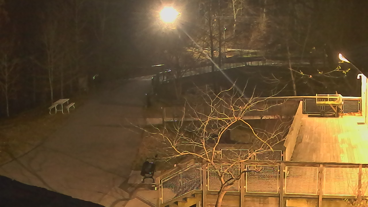 Thumbnail for current weather camera view from Lake Roland Nature Council in Baltimore, Maryland