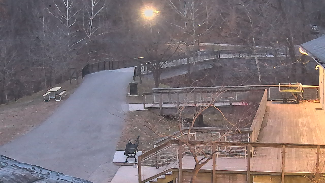 Thumbnail for current weather camera view from Lake Roland Nature Council in Baltimore, Maryland