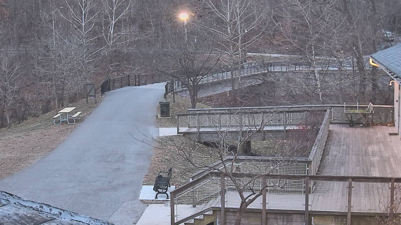 Thumbnail for current weather camera view from Lake Roland Nature Council in Baltimore, Maryland