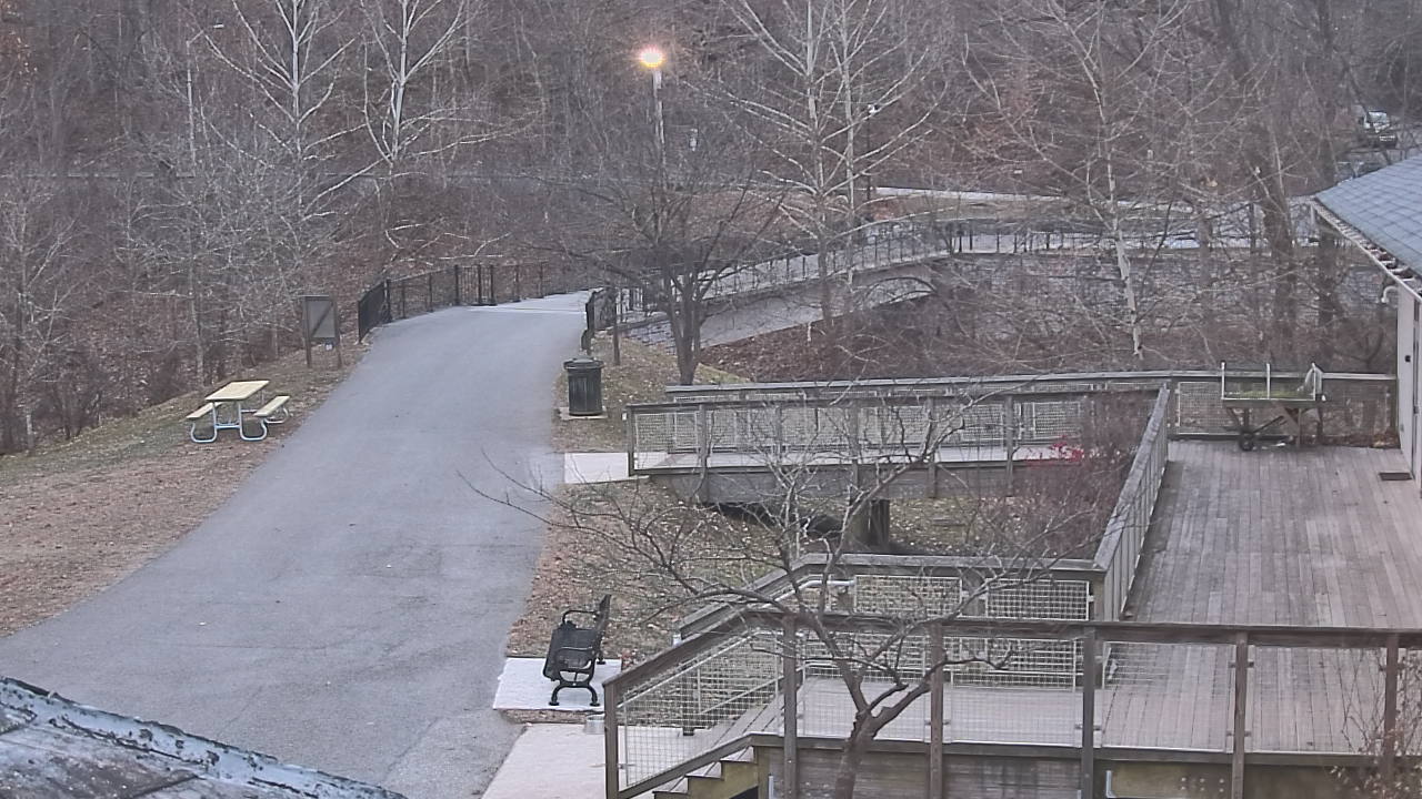 Thumbnail for current weather camera view from Lake Roland Nature Council in Baltimore, Maryland