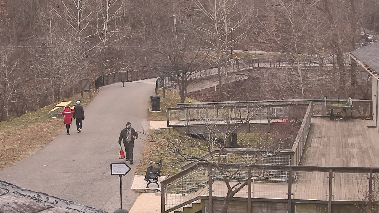 Thumbnail for current weather camera view from Lake Roland Nature Council in Baltimore, Maryland